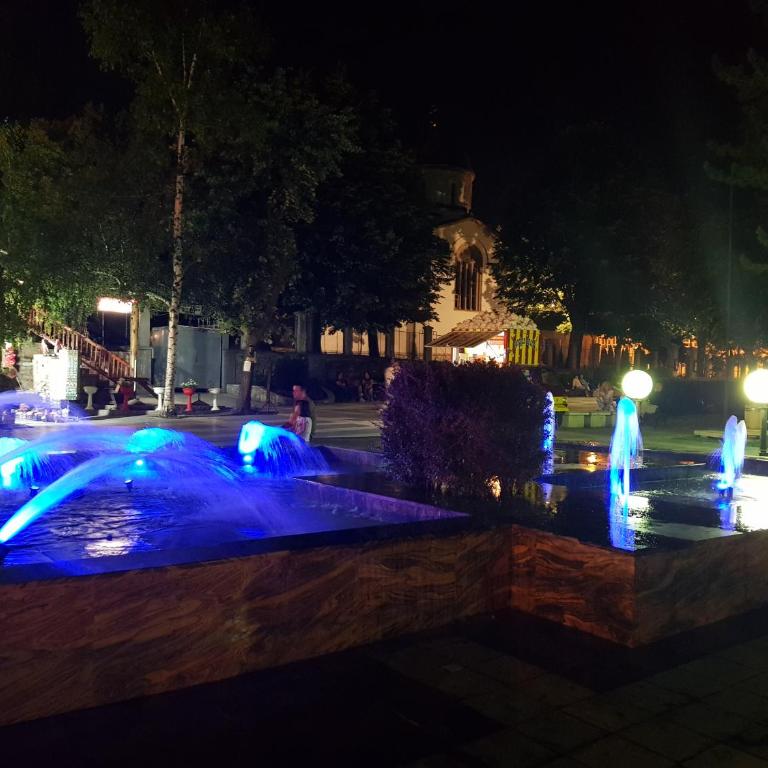 LENA Apartman 45m2 Sokobanja-CENTAR - Apartman sa 2 Spavaće Sobe - 31