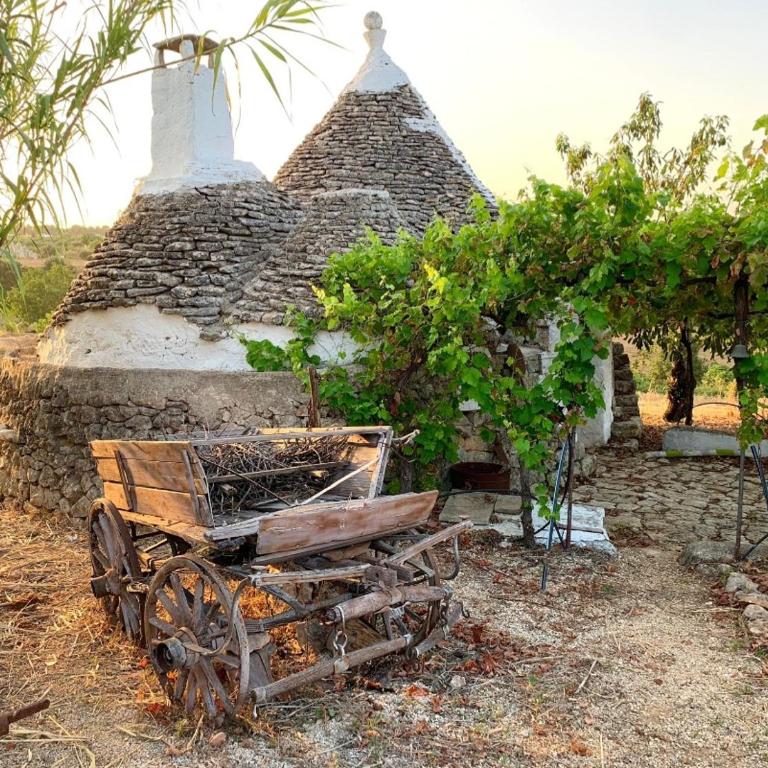 Casa tra i Trulli - Casa Vacanze - 16