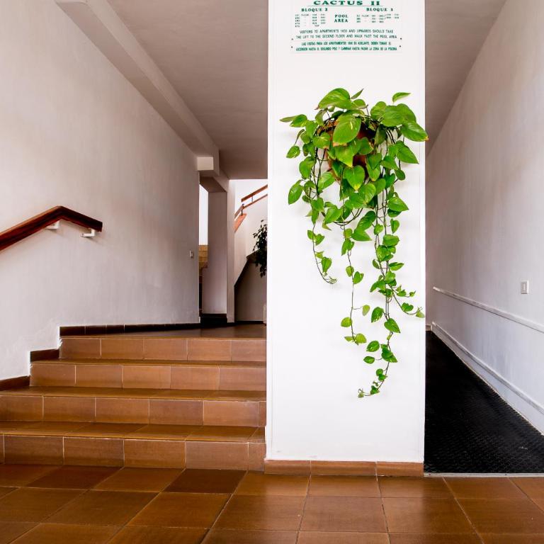 Apartmento Cactus II - Apartamento con vistas al mar - 19