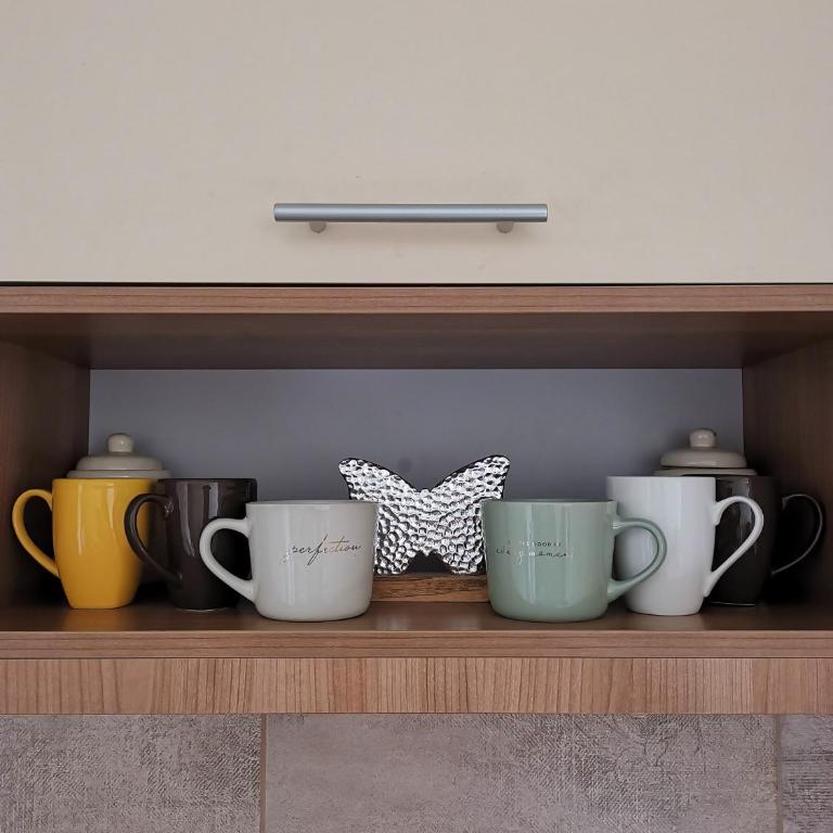 Aurora I&N apartmani Zlatibor - One-Bedroom Apartment - 12