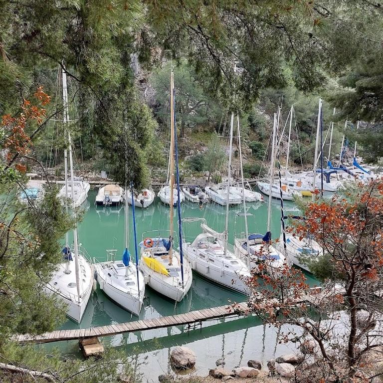 Superbe appartement plage des catalans - Apartment mit 2 Schlafzimmern - 34