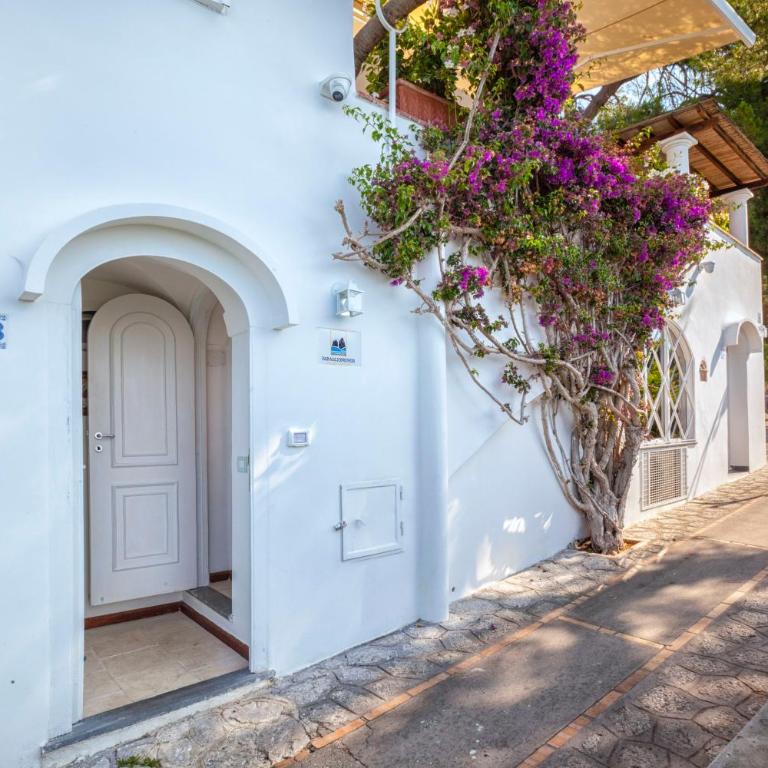 Faraglionensis MonaconeHouse Apartment - Appartamento con 1 Camera da Letto - 3