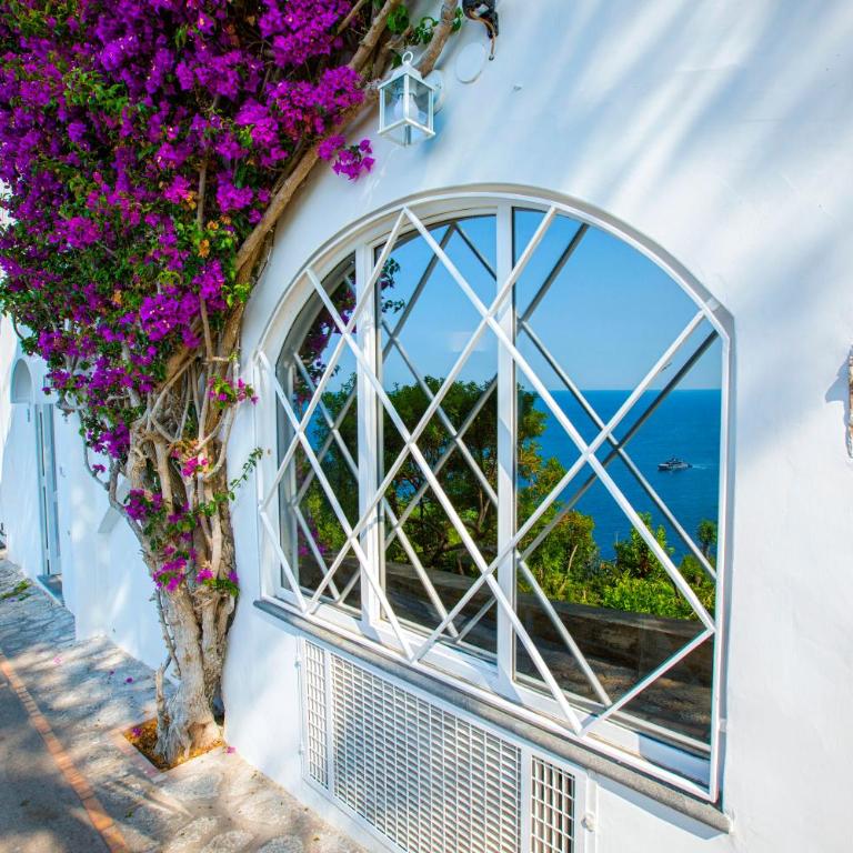Faraglionensis MonaconeHouse Apartment - Appartamento con 1 Camera da Letto - 4