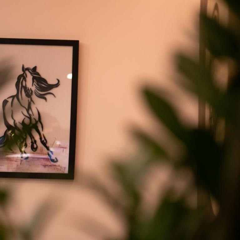 Pini Apart-hotel - Standardni Studio - 21