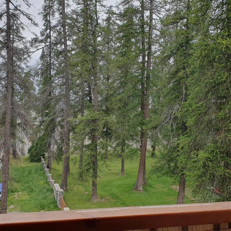 Studio Hyper centre Valberg - Studio-Apartment - 11