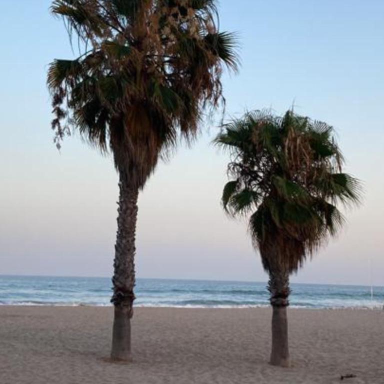 Apartamento Las Marinas - Two-Bedroom Apartment - 19