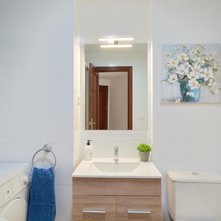 Gibralfaro Malaga centro - Apartamento de 1 dormitorio - 21