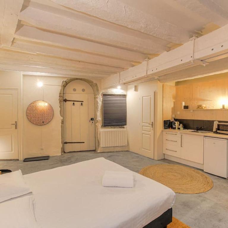 Industrial-style studio with bathtub, Vieux-Lyon - Apartment mit 1 Schlafzimmer - 10