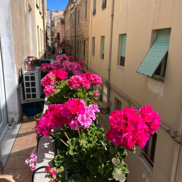 Casa Bohemia - Appartamento con 2 Camere da Letto - 21