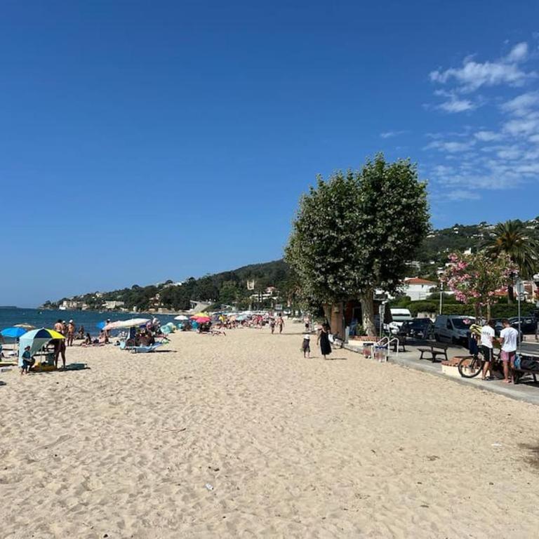 Très bel appartement sur la plage avec grande terrace face à la mer! La Goelette - Apartamento de 1 dormitorio - 30