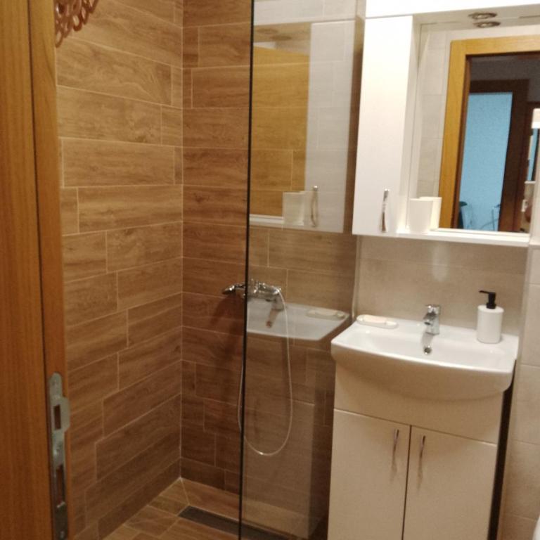 Vesna M - Apartman sa 1 Spavaćom Sobom - 18