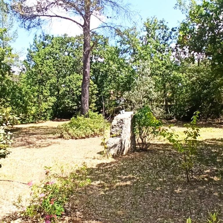 Villa au cœur de la Provence - Villa - 38