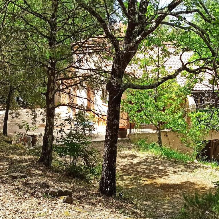 Villa au cœur de la Provence - Villa - 39