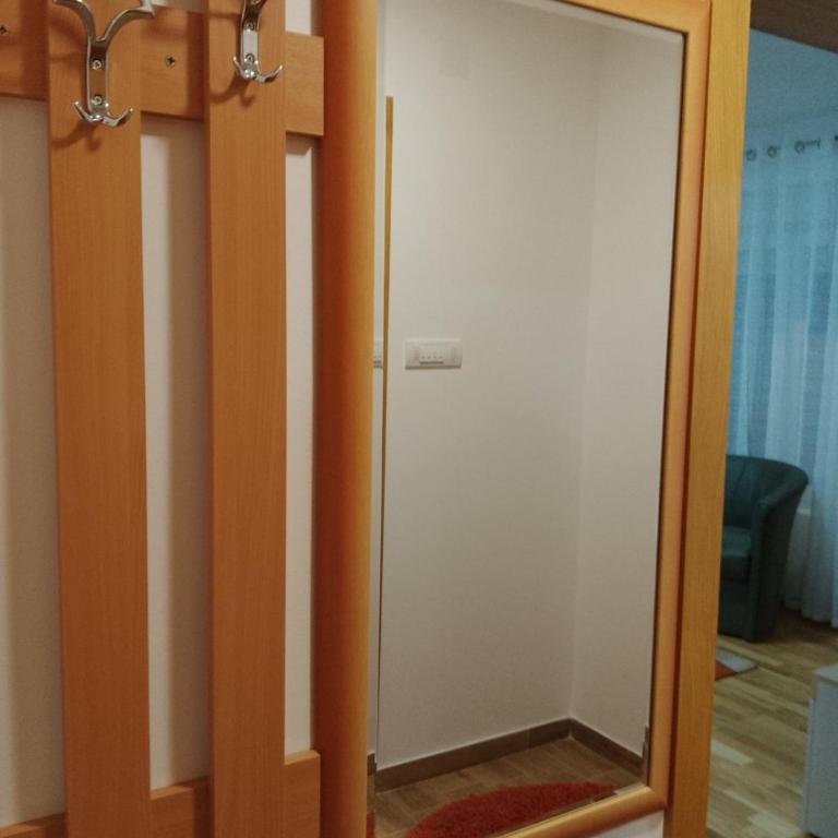 Vesna M - Apartman sa 1 Spavaćom Sobom - 14