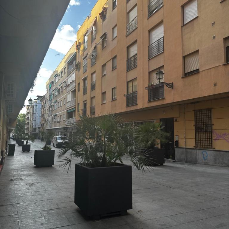 Libélula Centro 2 Dormitorios con Encanto - Two-Bedroom Apartment - 10