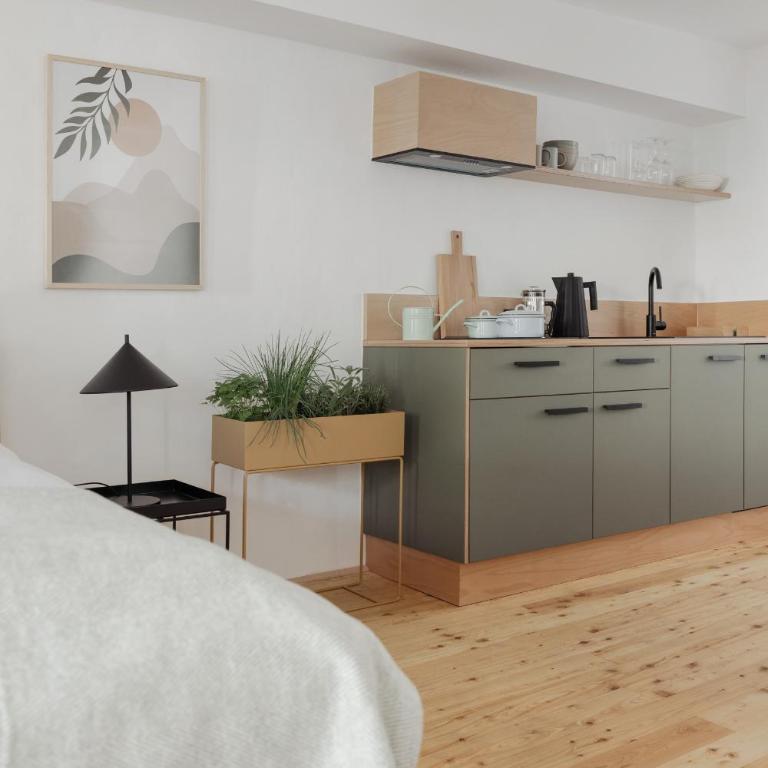 Das Grüne Haus - Boutique Apartments ecofriendly - Apartment mit Balkon - 1