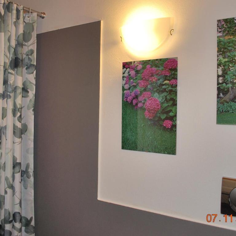 Appartamento Castagnola - Appartamento con Vista Lago - 10