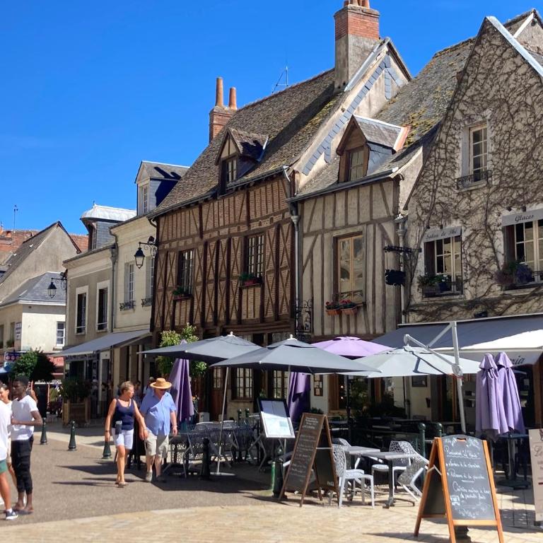L'Amboisienne, Au pays des châteaux - Haus mit 3 Schlafzimmern - 4