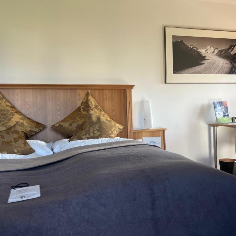 Hotel Alpina - Habitación Individual - 4