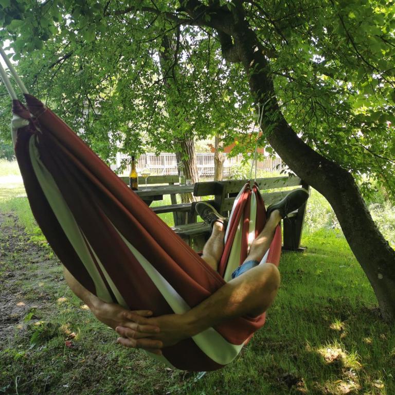 Monschein Weingut Straden - Doppelzimmer mit Gartenblick - 10