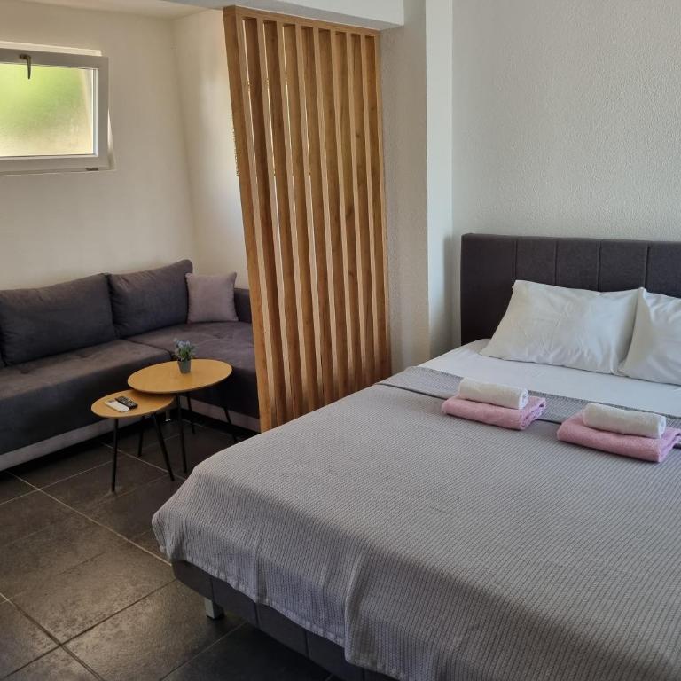 Apartmani Mihailovic - Standard Apartment - 3