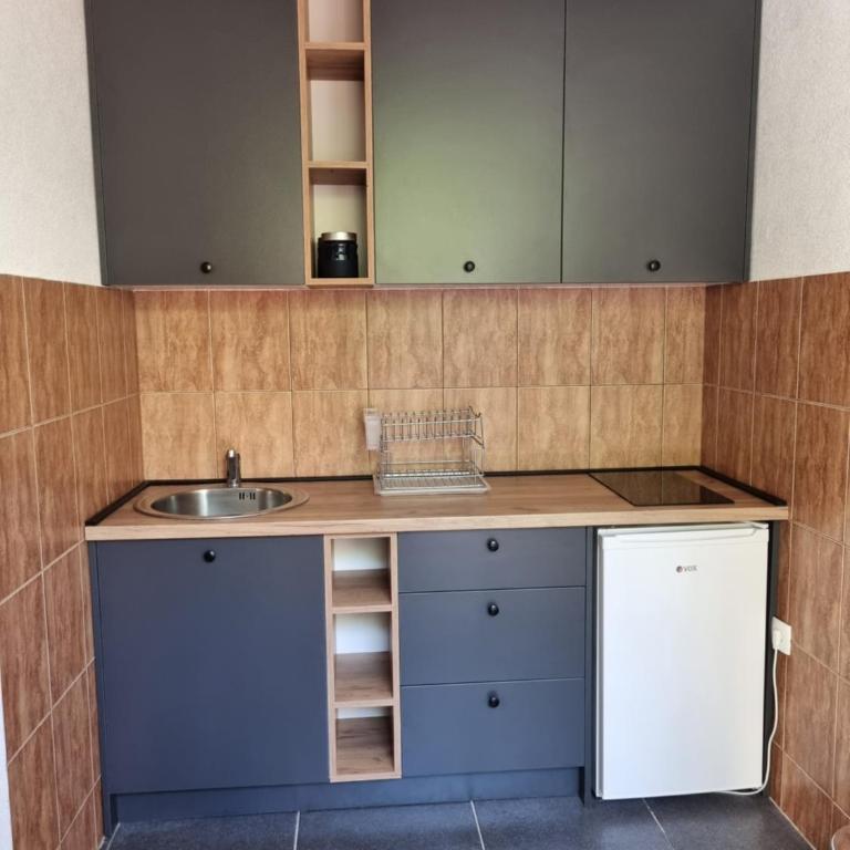 Apartmani Mihailovic - Standard Apartment - 4