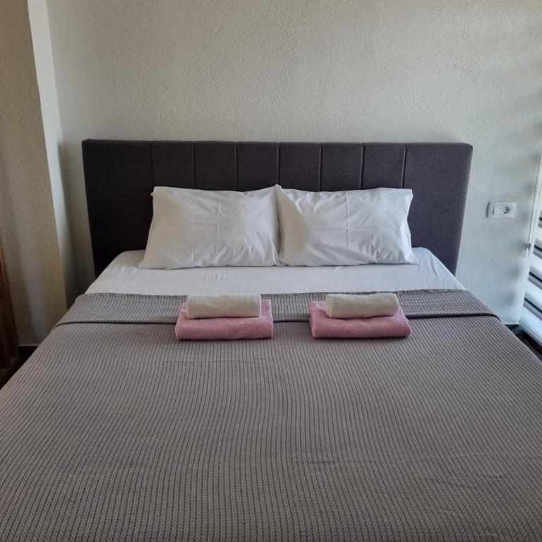 Apartmani Mihailovic - Standard Apartment - 5