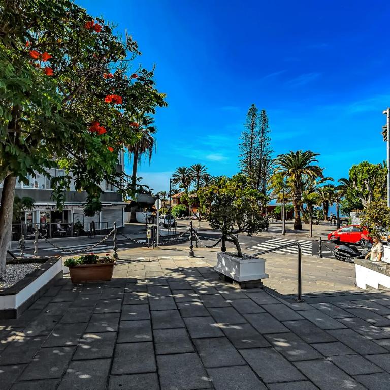 Vistas al Teide y al mar 4 - Apartamento de 1 dormitorio - 20