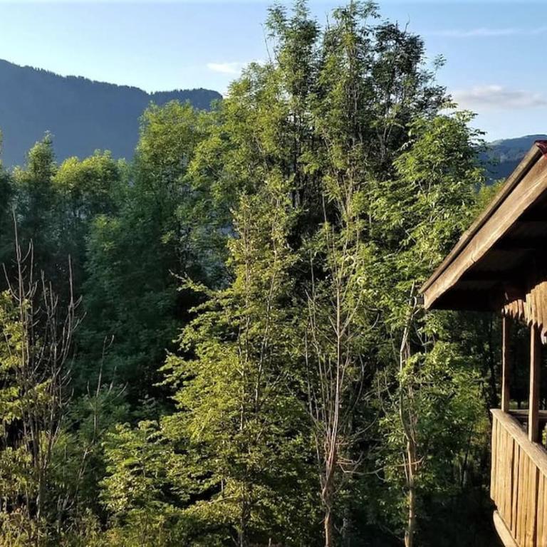 Petit mazot à la montagne pour 2 personnes - Maison 1 Chambre - 17