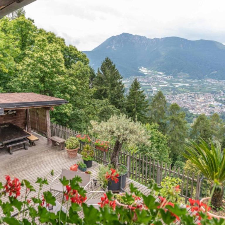 Casa Carincio, Falesina Ospitar - Apartment mit 1 Schlafzimmer - 31