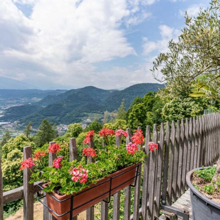 Casa Carincio, Falesina Ospitar - Apartment mit 1 Schlafzimmer - 40