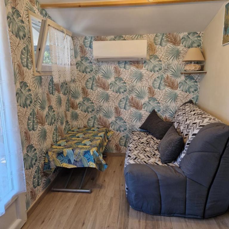 Chalet de 25 m2 avec jardin, piscine et spa uniquement accessible en juin sept - Chalet 1 Chambre - 8