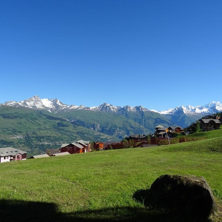Appartement 2 pièces, Animaux admis, Vallandry, 5 personnes - FR-1-411-793 - Appartement 1 Chambre - 4