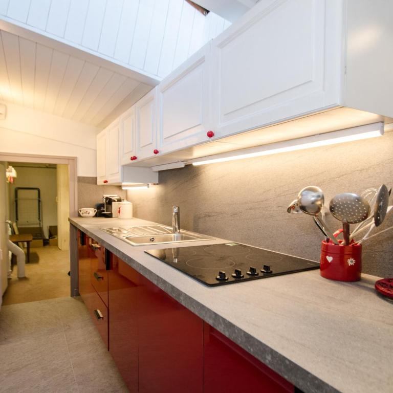 Appartement spacieux à Chamonix - 4 pers, animaux admis, parking - FR-1-343-237 - Apartment - 17