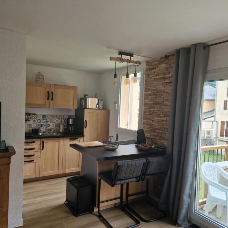 Appartement rénové proche de Luz Saint Sauveur 1chambre et 1 coin cabine - Appartement 1 Chambre - 5