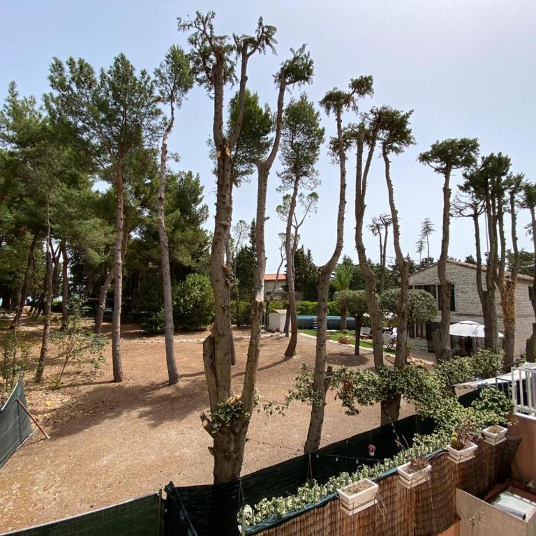 Casetta, 54 - Standard Apartment - 8