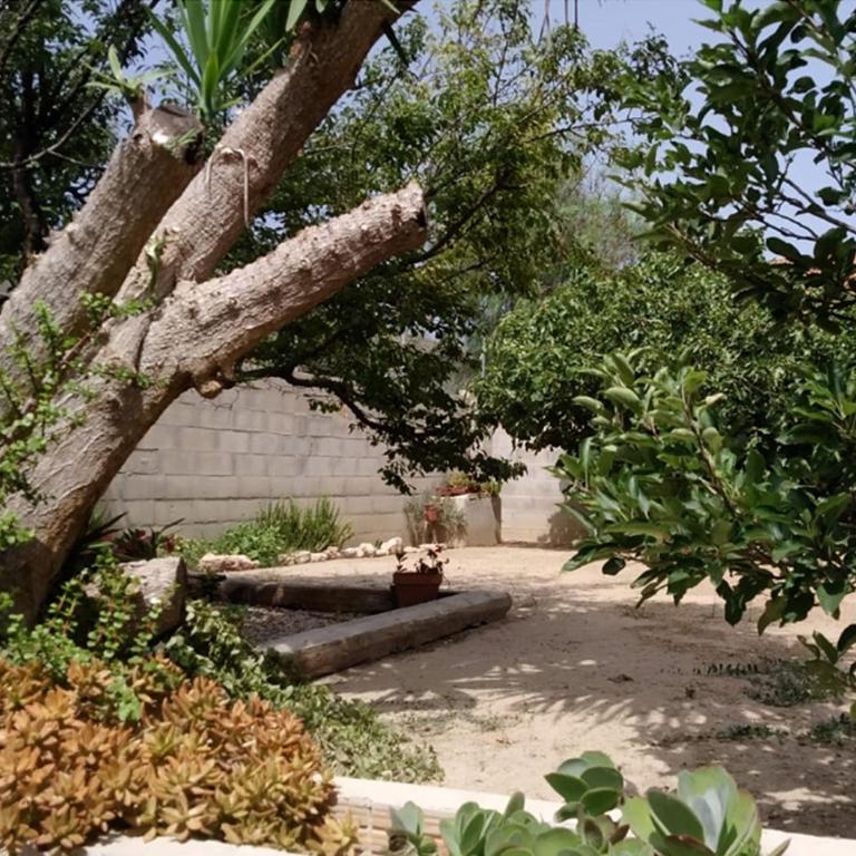Casa Lo Fangar - Deltebre - Three-Bedroom House - 3