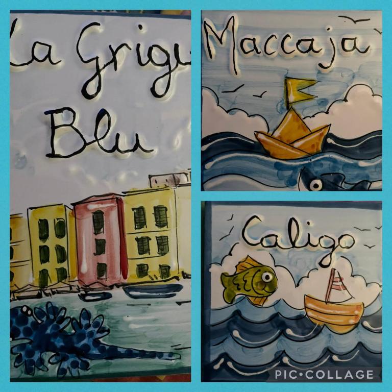 La Grigua blu - Appartamento Attico - 22