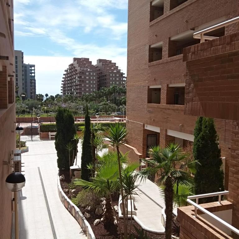 ACV - Torremar-2ª linea planta 1 Norte 3H - Apartamento de 3 dormitorios - 29