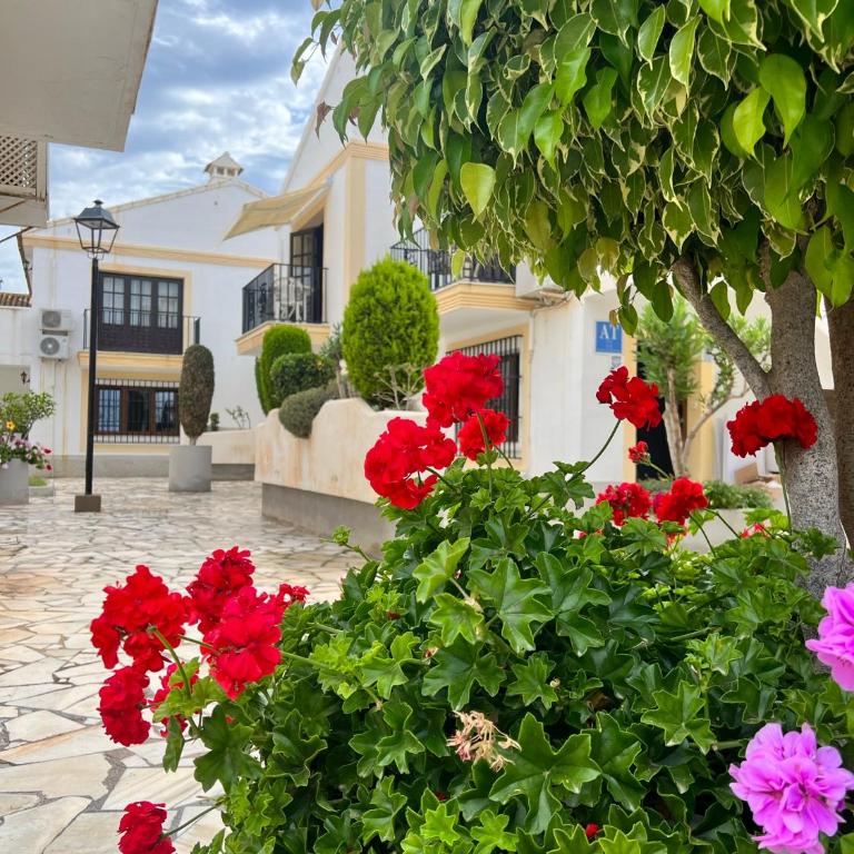Marisol Apartment Vera Playa Andalusia 150 m from the Beach, Spain - Apartamento de 1 dormitorio - 29