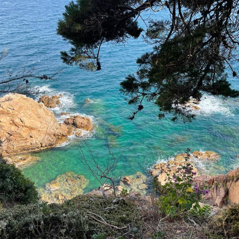 Costa Brava Bella Fenals - Apartamento de 2 dormitorios - 29