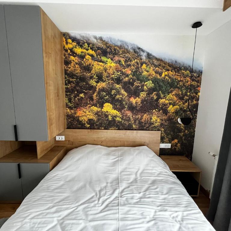 DivciCasa apartments Divčibare - Apartman sa 1 Spavaćom Sobom - 9