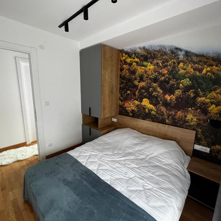 DivciCasa apartments Divčibare - Apartman sa 1 Spavaćom Sobom - 8