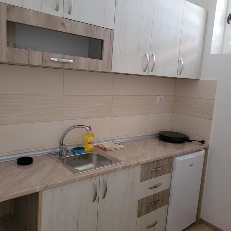Apartmani Zvezdana - Apartman sa 1 Spavaćom Sobom - 4