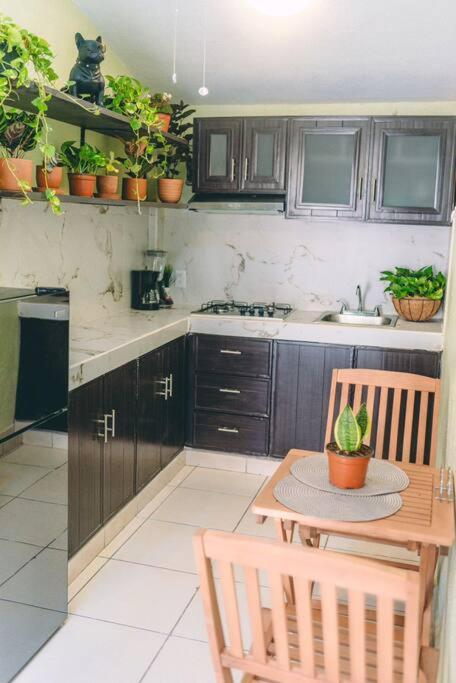 Departamento en Zona Dorada - One-Bedroom Apartment - 19
