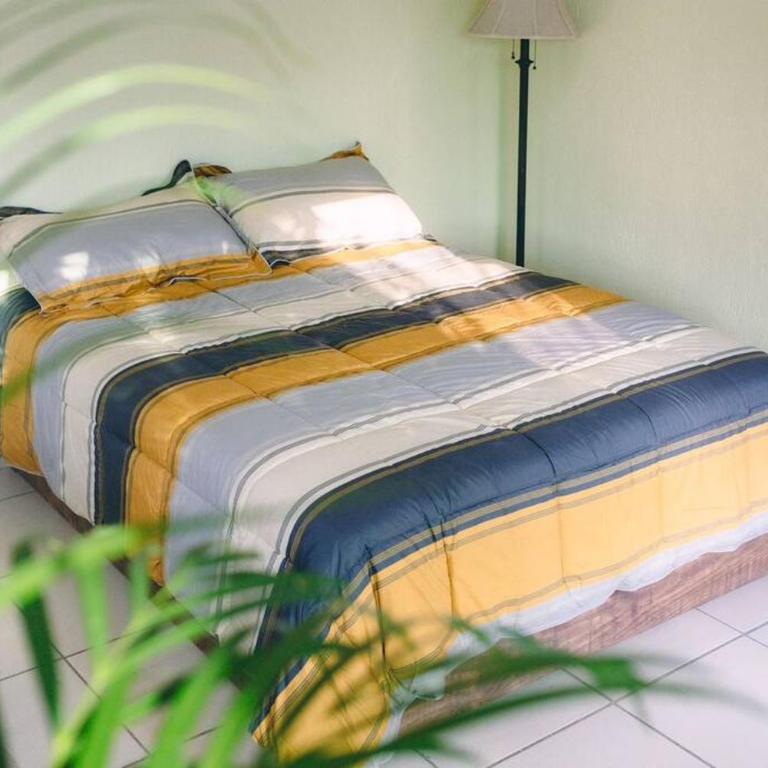Departamento en Zona Dorada - One-Bedroom Apartment - 29
