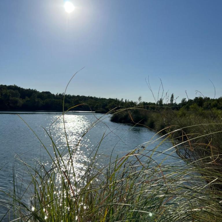 Appartement calme, vue sur le lac - Appartement 2 Chambres - 26