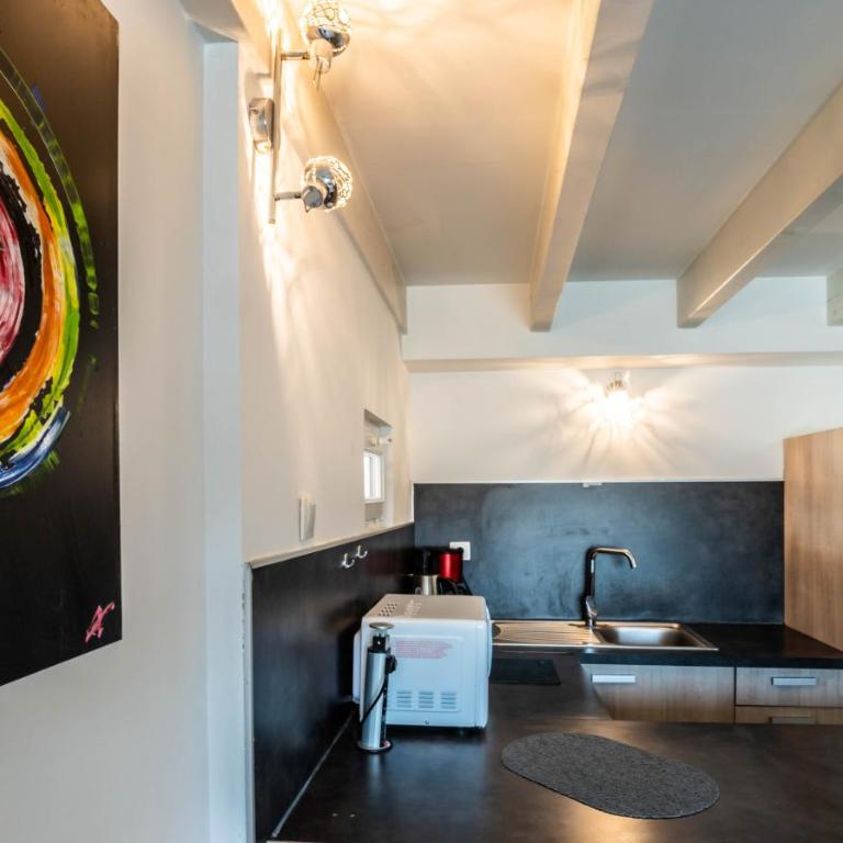 Litchi lovely loft with AC rue du Paquier - Studio-Apartment - 24