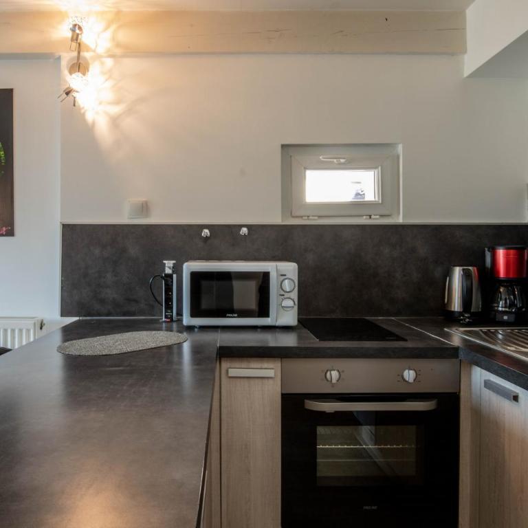 Litchi lovely loft with AC rue du Paquier - Studio-Apartment - 12