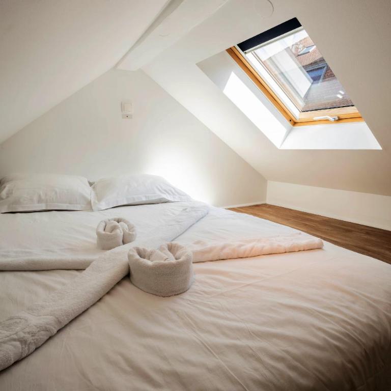 Litchi lovely loft with AC rue du Paquier - Studio-Apartment - 19